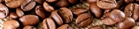 header_beans-Header3.jpg