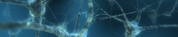 NetworkHeader.jpg