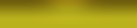 header-gold.jpg