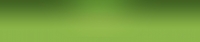 header-lightgreen.jpg