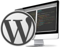 custom-wordpress-development1-300x243.png