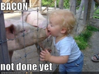 a.aaa-Funny-kid-kisses-a-pig.jpg