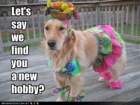 dog_funny_pictures 4.jpg