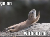 funny-pictures-chipmunk-asks-you-to-go-on.jpg