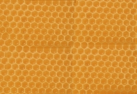 HoneyHiveBGNewx.jpg