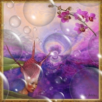 Orchid ladydhg.jpg