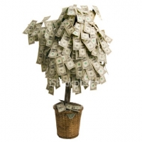 passive-income-money-tree.jpg