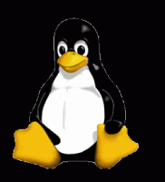 004_54.gif