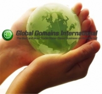 NEW GDI logo2.jpg